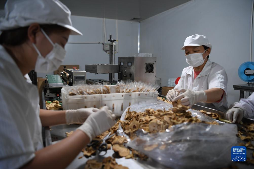 捕鱼游戏中文版